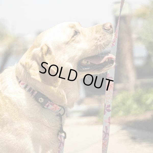 画像6: 【首輪】WOLF GANG /DigiFloral COLLAR (6)