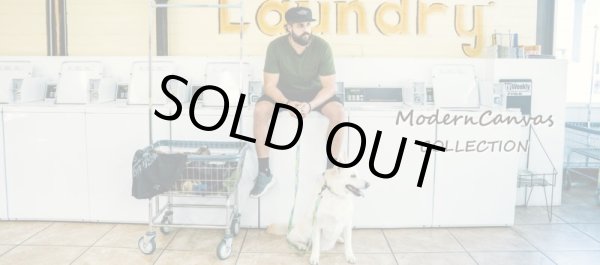 画像16: 【首輪】WOLF GANG /ModernCanvas COLLAR (16)