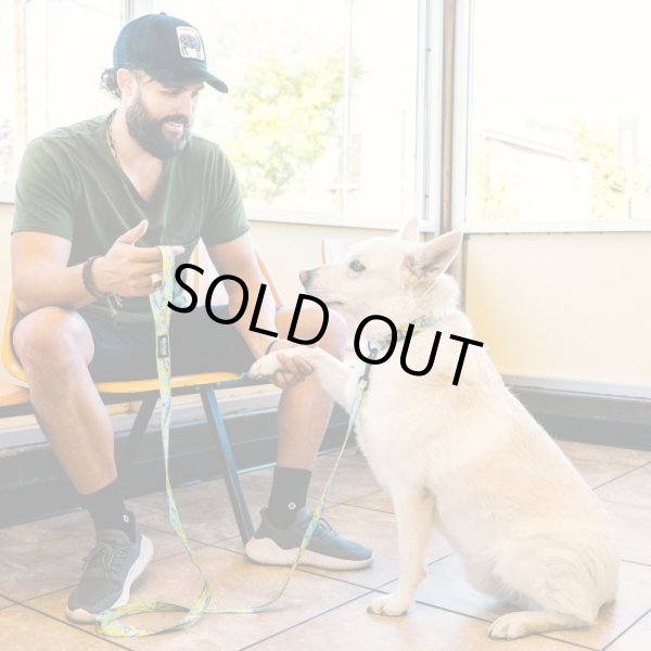 画像5: 【首輪】WOLF GANG /ModernCanvas COLLAR (5)