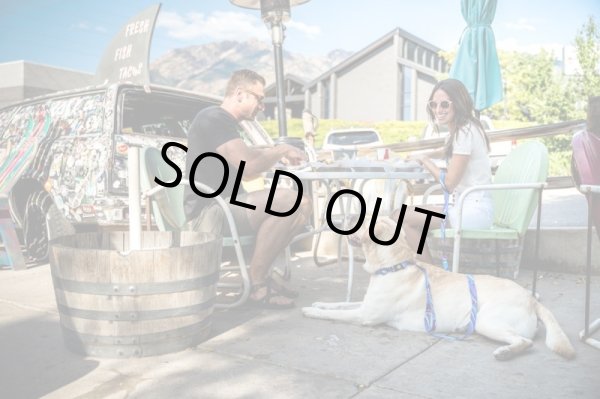 画像11: 【リード】WOLF GANG /MarbleWave LEASH (11)