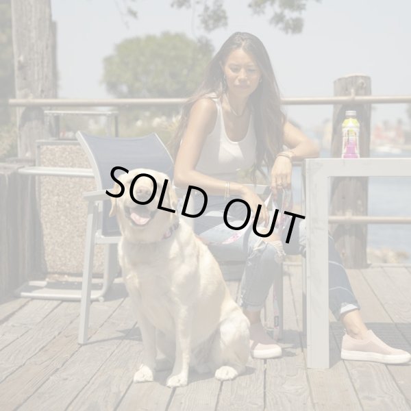 画像4: 【首輪】WOLF GANG /DigiFloral COLLAR (4)