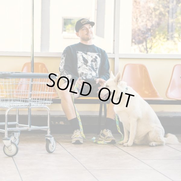 画像6: 【首輪】WOLF GANG /ModernCanvas COLLAR (6)