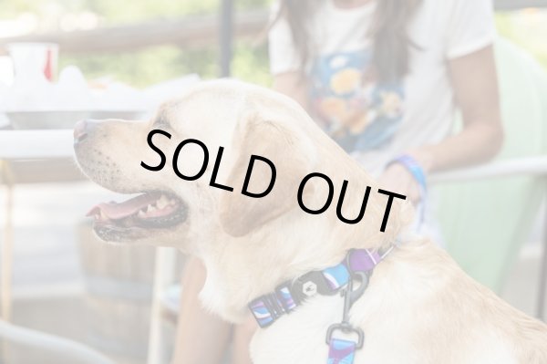 画像9: 【リード】WOLF GANG /MarbleWave LEASH (9)