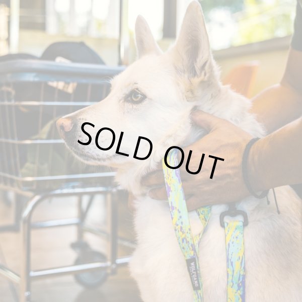 画像3: 【首輪】WOLF GANG /ModernCanvas COLLAR (3)