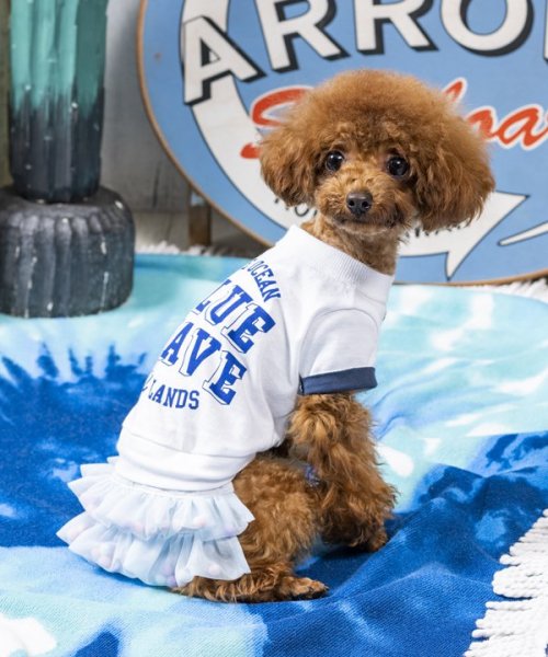 画像7:  【30％OFF】 【as know as de wan】ＮポンポンチュチュＳＫ お着替えシリーズ (7)