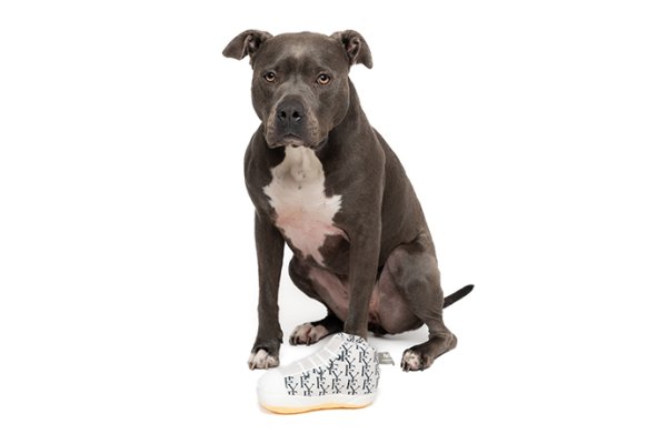 画像3:  【50％OFF】 【FuzzYard】プラッシュトイ：FYスニーカー (3)