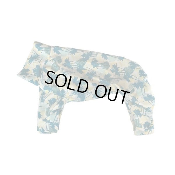 画像1:  10％OFF 【キャバスーツ LIMITED】Gin Lime (1)