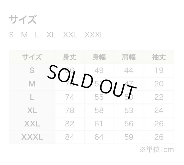 画像3: 30%OFF【Ｔシャツ】キャバリアランド★遊園地 (3)