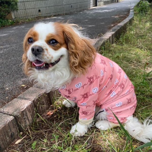 画像6:  10％OFF 【キャバスーツ LIMITED】HEART SHAPED (6)