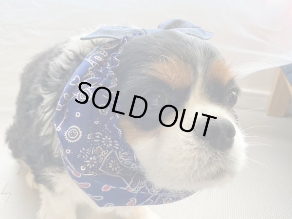 画像2: すあませいさくしょ☆バンダナなリボンスヌード＆シュシュ（Mサイズのみ） (2)