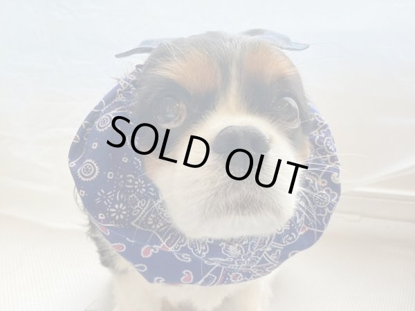 画像4: すあませいさくしょ☆バンダナなリボンスヌード＆シュシュ（Mサイズのみ） (4)