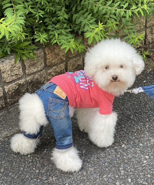 画像8:  30%OFF 【as know as de wan】NクールARIZONAT お着替えシリーズ (8)