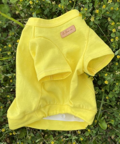 画像15:  30%OFF 【as know as de wan】NクールARIZONAT お着替えシリーズ (15)