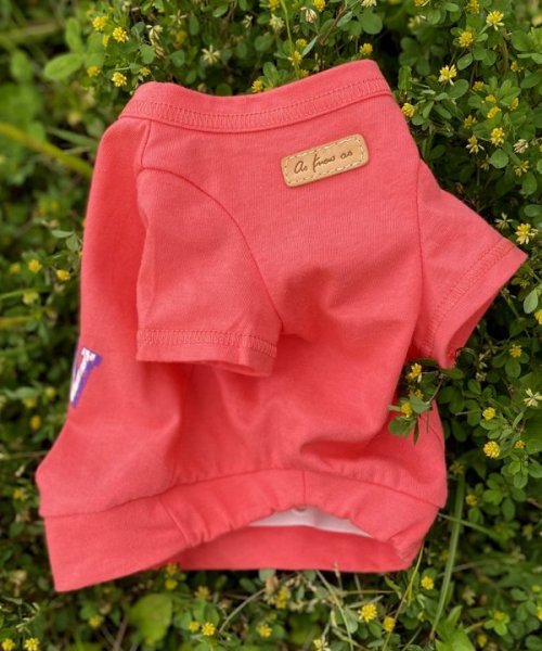 画像10:  30%OFF 【as know as de wan】NクールARIZONAT お着替えシリーズ (10)