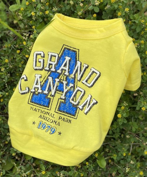 画像2:  30%OFF 【as know as de wan】NクールARIZONAT お着替えシリーズ (2)