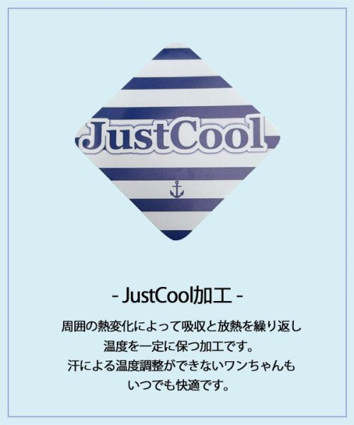 画像12:  30%OFF 【as know as de wan】NクールARIZONAT お着替えシリーズ (12)