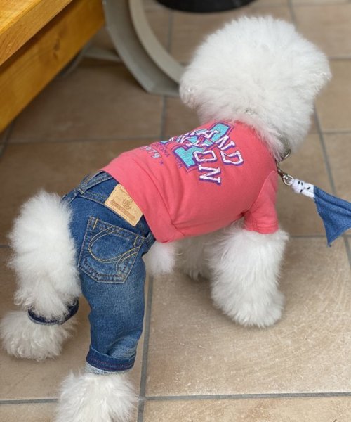 画像9:  30%OFF 【as know as de wan】NクールARIZONAT お着替えシリーズ (9)