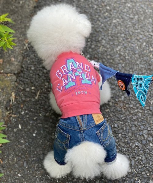 画像6:  30%OFF 【as know as de wan】NクールARIZONAT お着替えシリーズ (6)