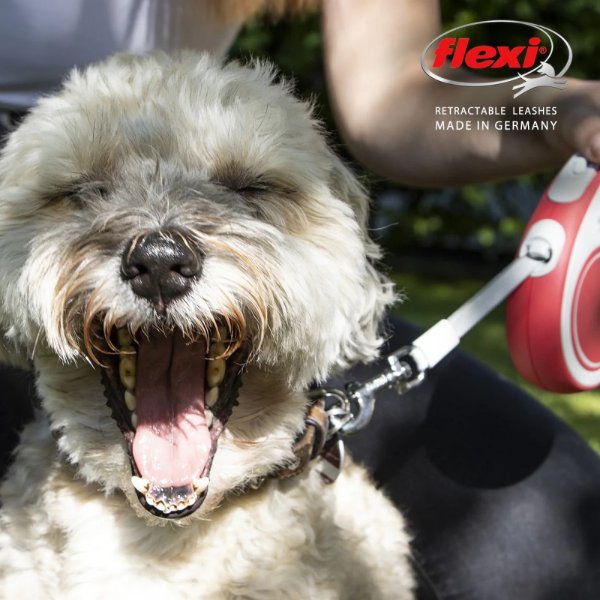 画像7: リード【flexi】伸縮リード :ニューコンフォート (7)