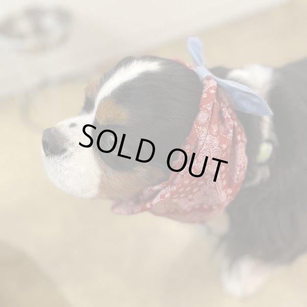 画像2: すあませいさくしょ☆赤いバンダナリボンスヌード (2)