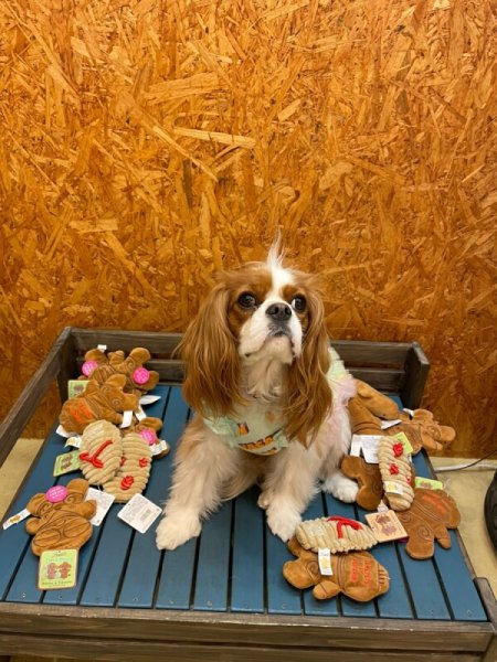 画像7:  【Jennyちゃんお気に入り】 草履 (7)