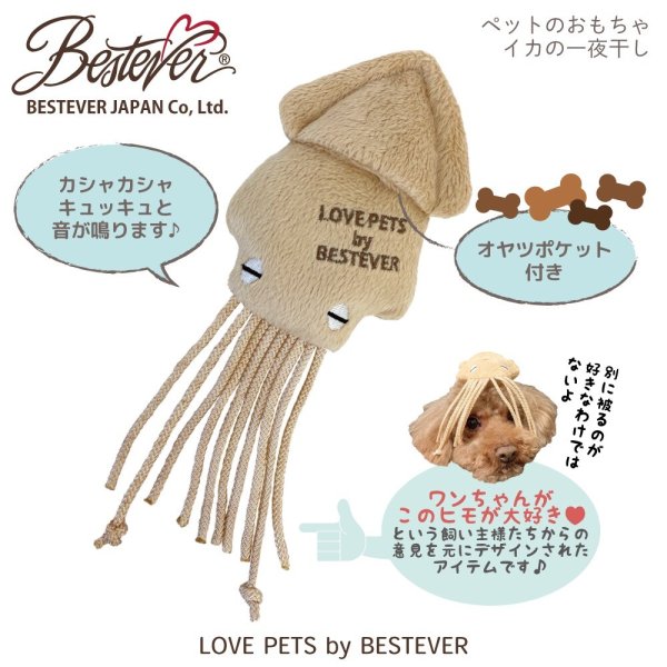 画像2:  【Jennyちゃんお気に入り】 イカの一夜干し (2)