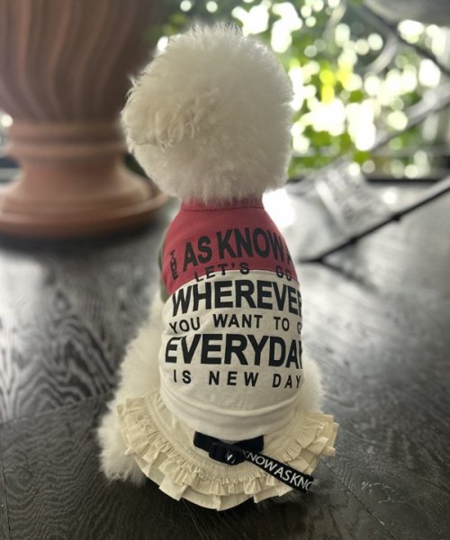 画像5:  【30%OFF】 【as know as de wan】NナイロンフレアSK お着替えシリーズ (5)