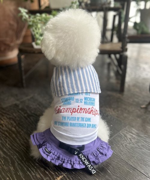 画像10:  【30%OFF】 【as know as de wan】NナイロンフレアSK お着替えシリーズ (10)