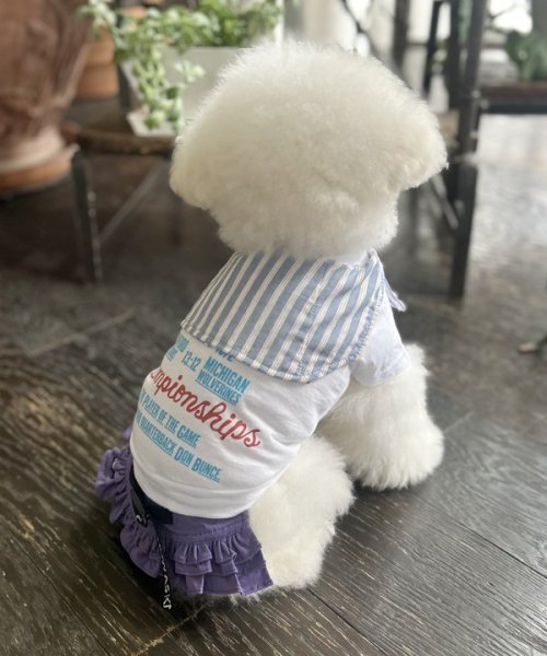 画像9:  【30%OFF】 【as know as de wan】NナイロンフレアSK お着替えシリーズ (9)