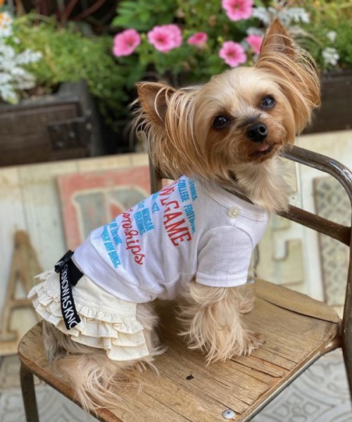 画像7:  【30%OFF】 【as know as de wan】NナイロンフレアSK お着替えシリーズ (7)