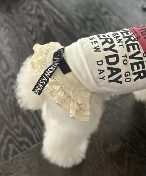 画像3:  【30%OFF】 【as know as de wan】NナイロンフレアSK お着替えシリーズ (3)