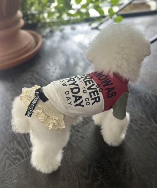 画像6:  【30%OFF】 【as know as de wan】NナイロンフレアSK お着替えシリーズ (6)