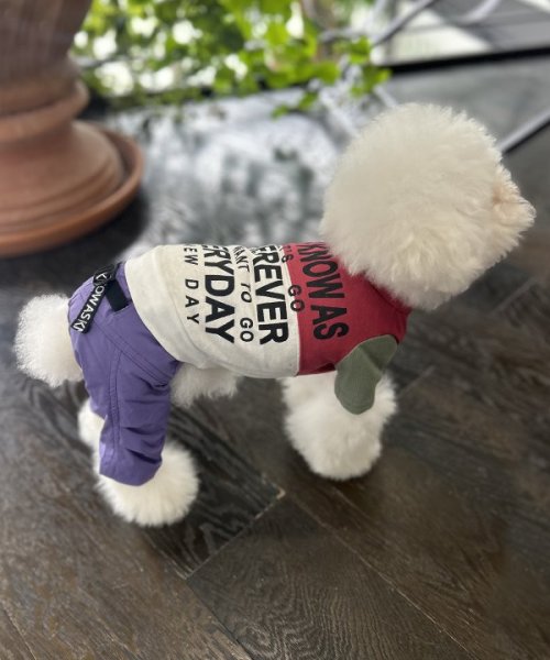 画像5:  【30%OFF】 【as know as de wan】NナイロンルーズPT お着替えシリーズ (5)