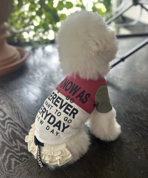 画像4:  【30%OFF】 【as know as de wan】NナイロンフレアSK お着替えシリーズ (4)