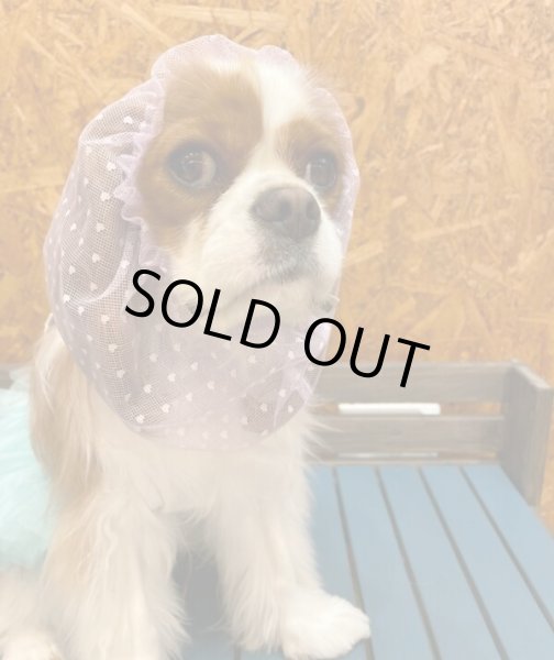 画像2: INU-CLOSET☆ちっちゃいハートのレーススヌード (2)