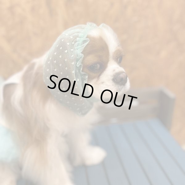 画像3: INU-CLOSET☆ちっちゃいハートのレーススヌード (3)