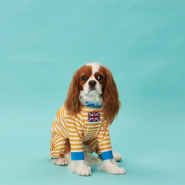 画像3: 50%OFF【キャバスーツ LIMITED】POOL SIDE 2023 (3)
