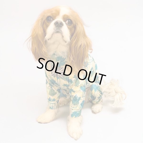 画像3:  10％OFF 【キャバスーツ LIMITED】Gin Lime (3)