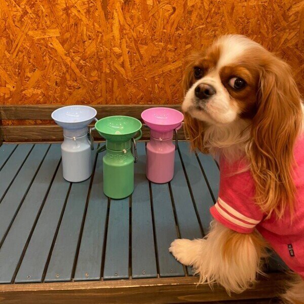 画像6: PET AUTO MUG 440ｍl (6)