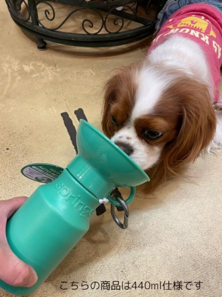 画像4:  【新色追加】 PET AUTO MUG 650ml (4)