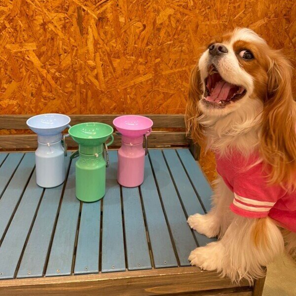 画像5: PET AUTO MUG 440ｍl (5)