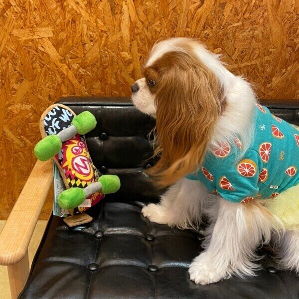 画像4:  【50％OFF】 プレイ９０ｓクラシックスケートボード (4)