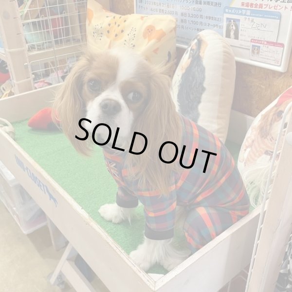 画像9:  【30％OFF】 【キャバスーツ LIMITED】BOOK END (9)