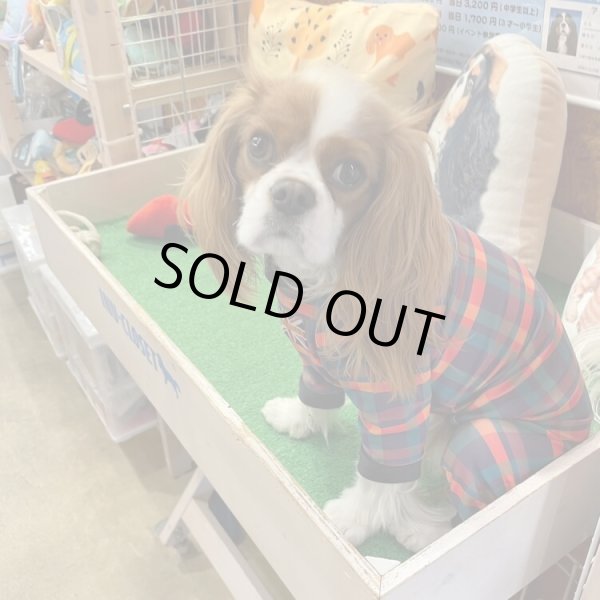 画像11:  【30％OFF】 【キャバスーツ LIMITED】BOOK END (11)
