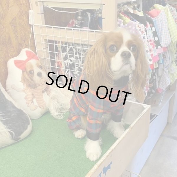画像10:  【30％OFF】 【キャバスーツ LIMITED】BOOK END (10)