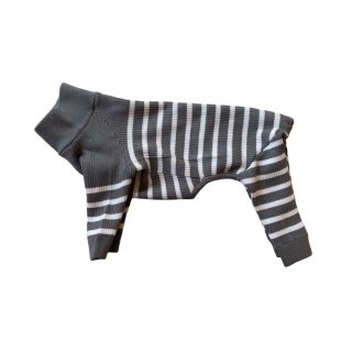 Amazon | [COOLEAD] かわいい キャバリア スパニエル犬(9