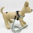 画像6: リード【トレポンティ】LEASH FOR Small Breeds【PASTEL】 (6)