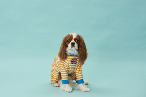 画像5: 50%OFF【キャバスーツ LIMITED】POOL SIDE 2023 (5)