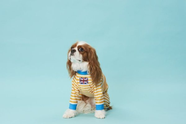 画像6: 50%OFF【キャバスーツ LIMITED】POOL SIDE 2023 (6)