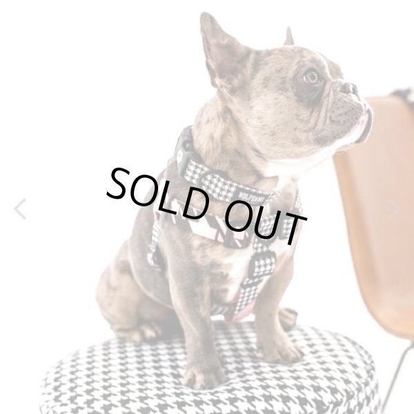 画像8: 【首輪】WOLF GANG /HoundsPink COLLAR (8)